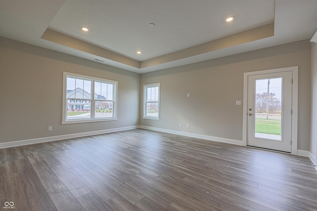 empty room featuring wood-type flooring, a raised ceiling, and plenty of natural light