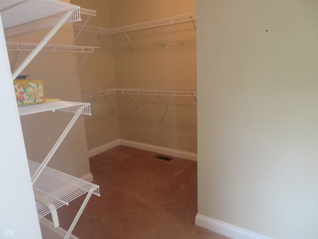 spacious closet featuring carpet floors