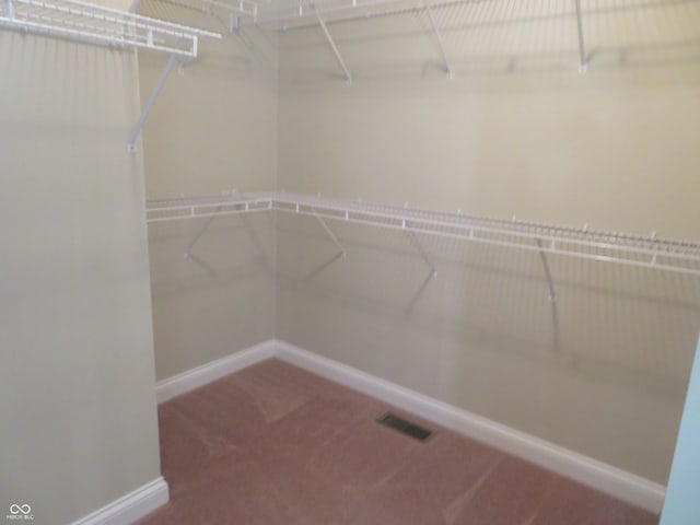 spacious closet featuring carpet floors