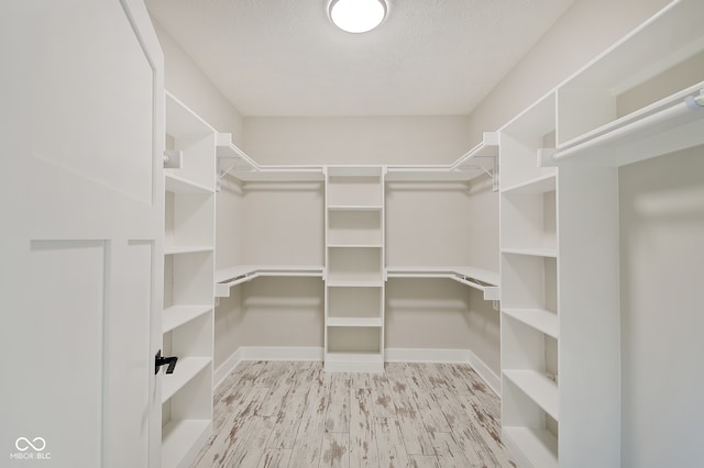 walk in closet featuring light hardwood / wood-style floors