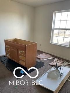 interior space featuring baseboards and carpet flooring