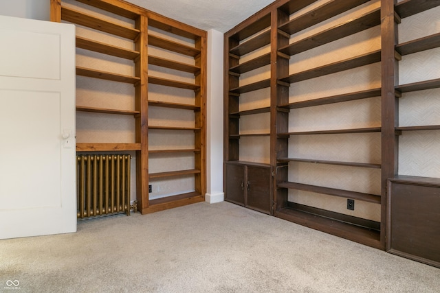 interior space featuring radiator heating unit and light colored carpet