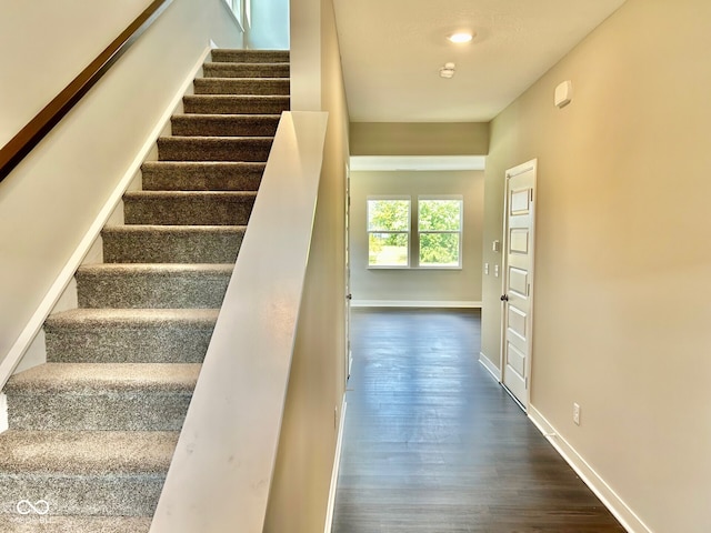 stairs with hardwood / wood-style flooring