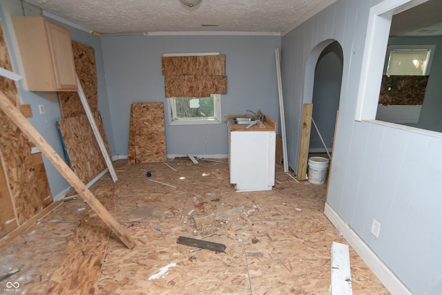 interior space with a textured ceiling, wooden walls, and sink