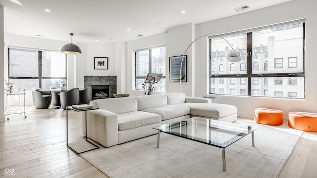 living room featuring a premium fireplace and light hardwood / wood-style flooring