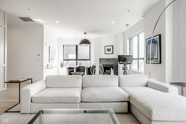 living room with light hardwood / wood-style flooring