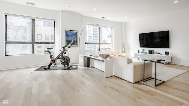 exercise room with plenty of natural light and light hardwood / wood-style flooring