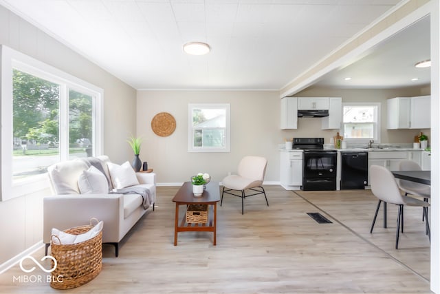 living room with ornamental molding, sink, and light hardwood / wood-style floors