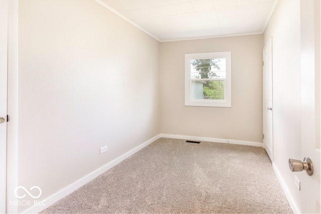 empty room featuring crown molding and carpet floors