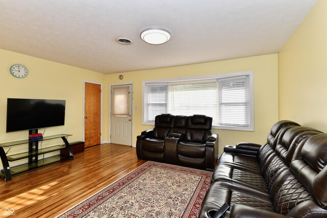 living room featuring a textured ceiling and wood-type flooring