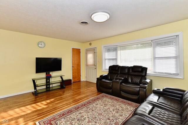 living room featuring hardwood / wood-style floors