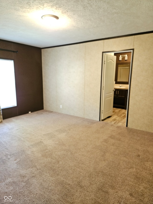 carpeted spare room featuring a textured ceiling