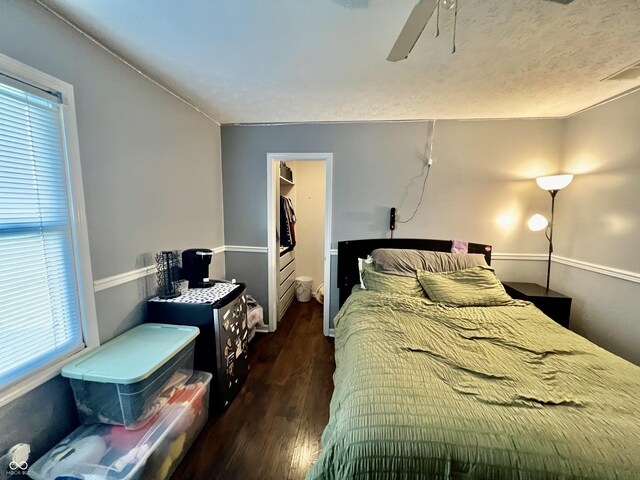 bedroom featuring ceiling fan, a spacious closet, dark wood-type flooring, and a closet