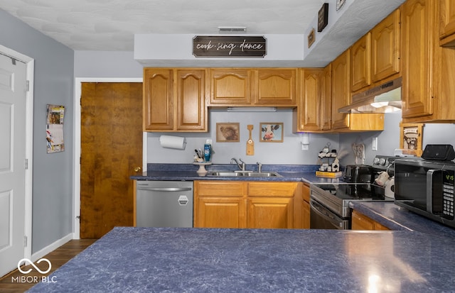 kitchen with dark wood-type flooring, appliances with stainless steel finishes, and sink