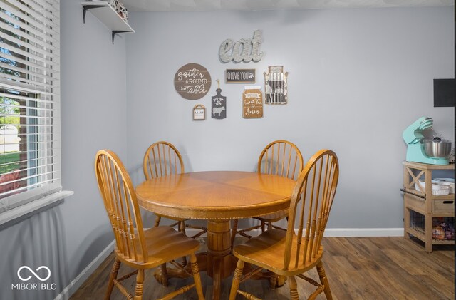 dining room featuring dark wood-type flooring