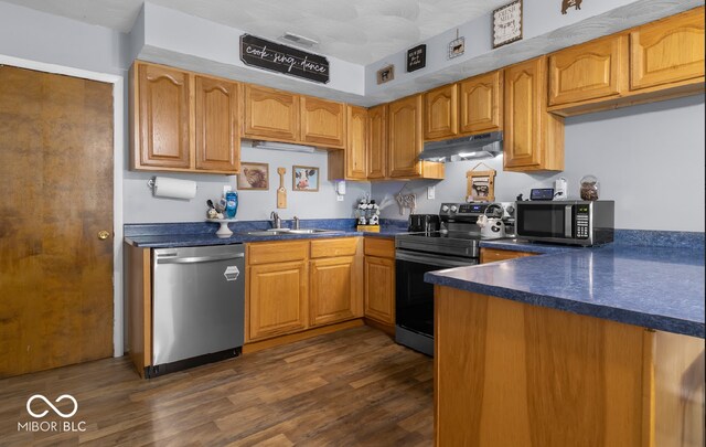 kitchen with stainless steel appliances, dark hardwood / wood-style floors, and sink