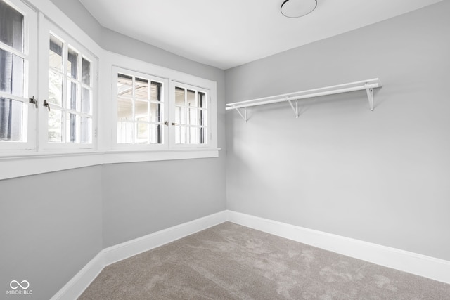 spacious closet with carpet