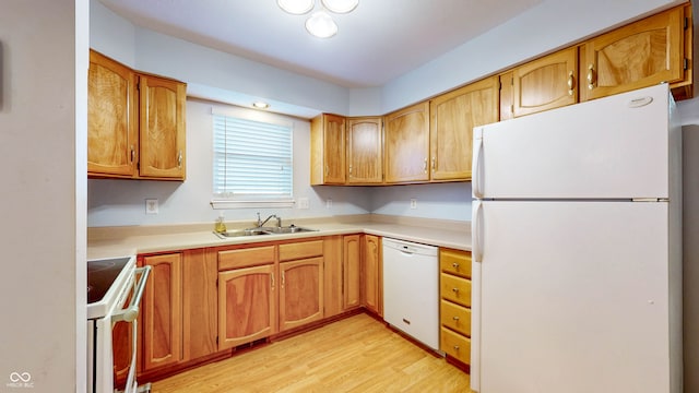 kitchen with light hardwood / wood-style flooring, white appliances, and sink