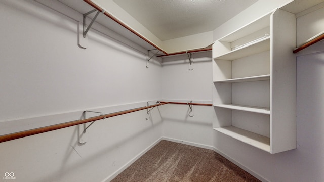 spacious closet with carpet floors