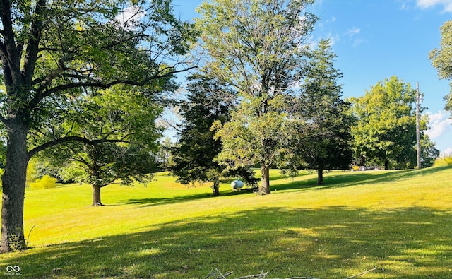 view of property's community with a lawn