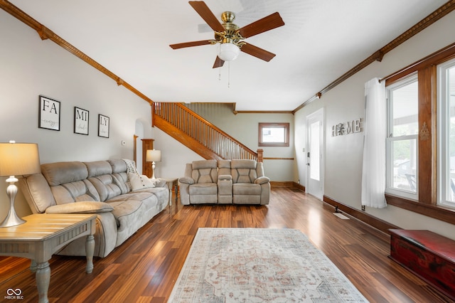 living room with ceiling fan, crown molding, and dark hardwood / wood-style flooring