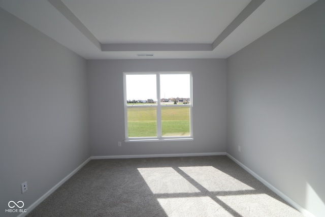 carpeted spare room featuring a raised ceiling