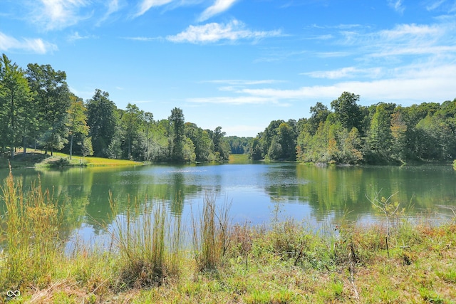 property view of water