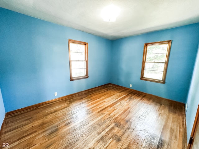 spare room with wood-type flooring