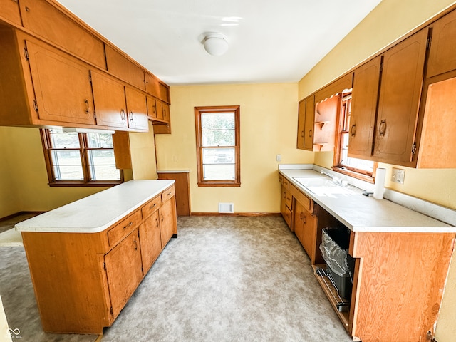 kitchen with light carpet