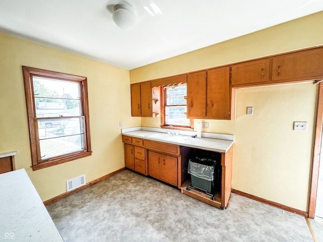 kitchen featuring a wealth of natural light, sink, and light colored carpet