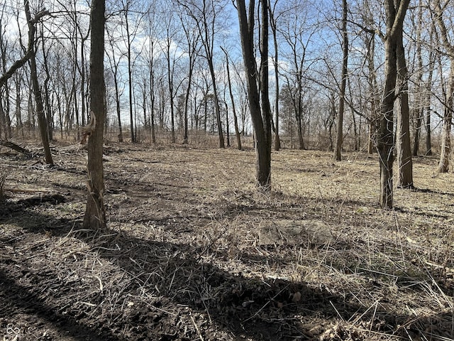 9925 N County Road 225 E, Roachdale, IN 46172 - photo 7