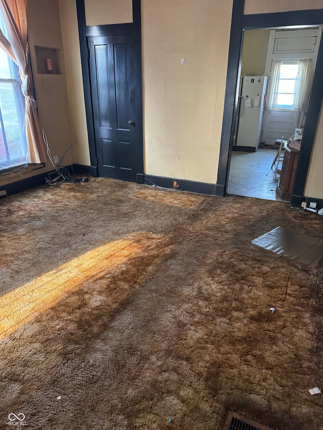 interior space with carpet
