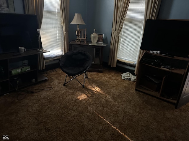 1804 N Delaware St, Indianapolis, IN 46202 - living area featuring carpet floors