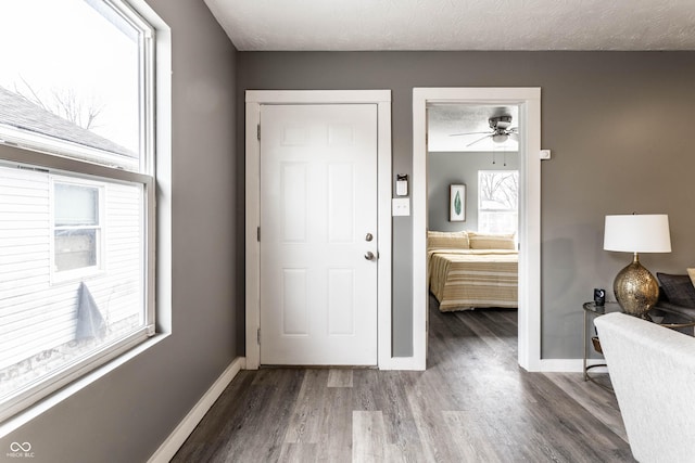 foyer entrance featuring a textured ceiling, wood finished floors, and a wealth of natural light