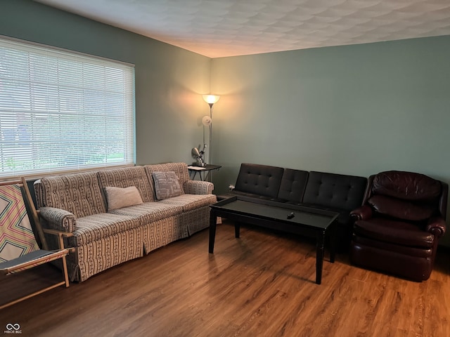 living room featuring wood-type flooring