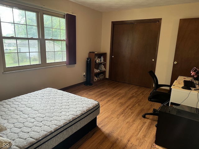 bedroom with multiple windows, wood-type flooring, and a closet