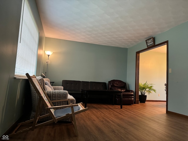 living room featuring hardwood / wood-style flooring