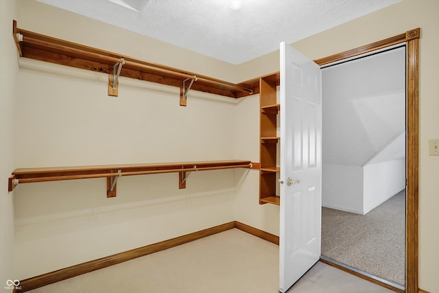 spacious closet with light colored carpet