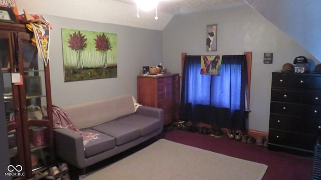 114 N Grant Ave, Crawfordsville, IN 47933 - living area featuring lofted ceiling