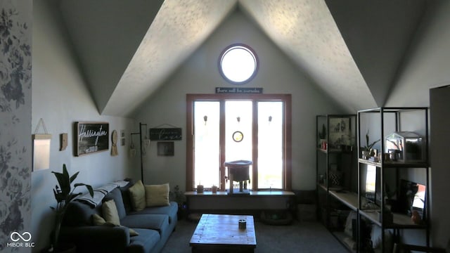 114 N Grant Ave, Crawfordsville, IN 47933 - carpeted living room featuring plenty of natural light and vaulted ceiling
