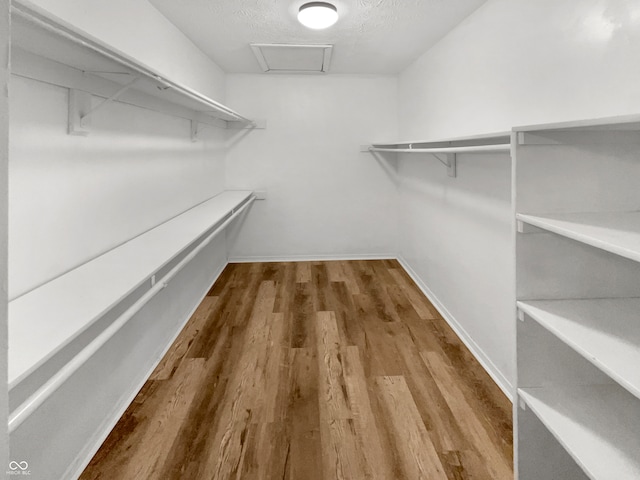 walk in closet with hardwood / wood-style flooring