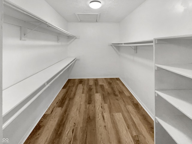 spacious closet featuring attic access and wood finished floors