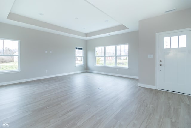 foyer with a raised ceiling, a healthy amount of sunlight, and light hardwood / wood-style floors