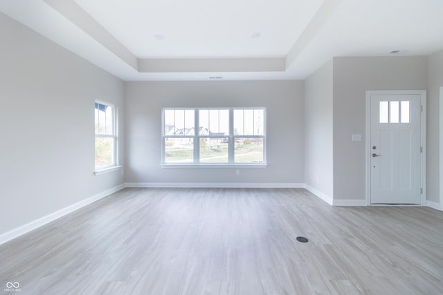 foyer entrance with a raised ceiling and light hardwood / wood-style flooring