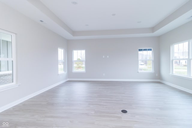 spare room with a raised ceiling, a healthy amount of sunlight, and light wood-type flooring