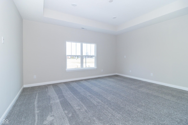 unfurnished room featuring a raised ceiling and carpet