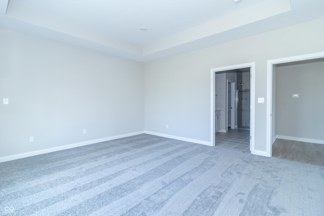 spare room with carpet floors and a tray ceiling