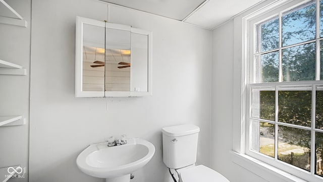 bathroom featuring toilet and sink