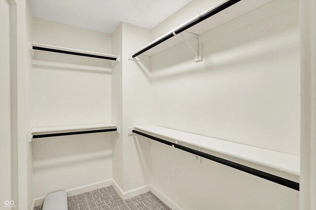 22 W 54th St, Indianapolis, IN 46208 - view of walk in closet