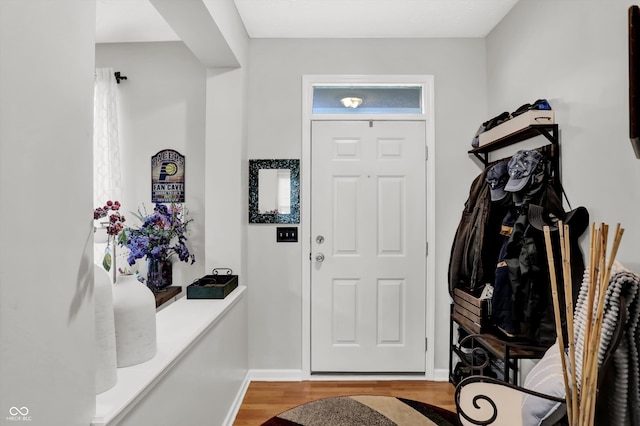 entryway featuring hardwood / wood-style flooring